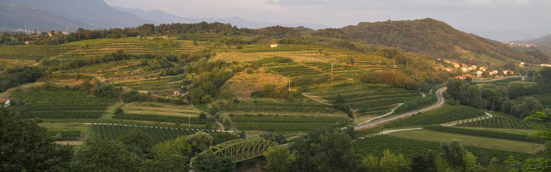 Vipavska dolina in okolica