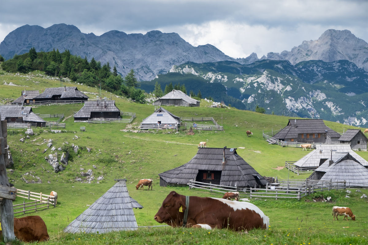 Značilni pogled