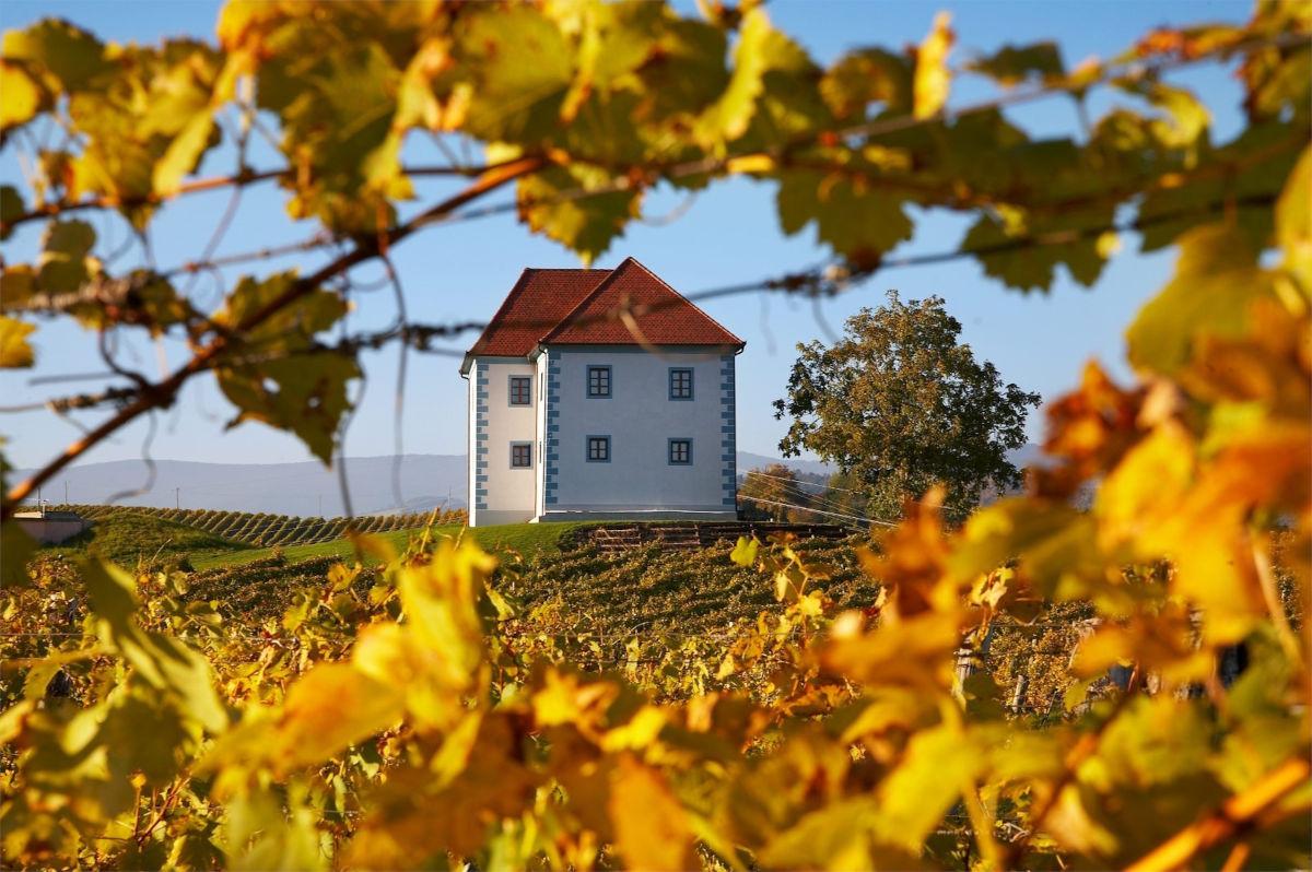 Vinogradniški dvorec