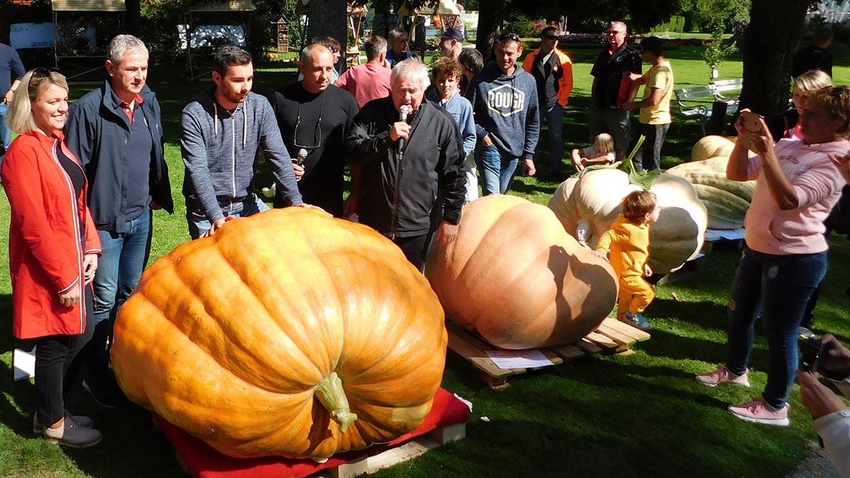 Izbor najtežje buče