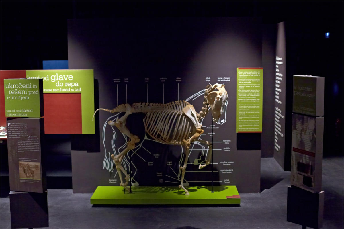 Muzej lipicanca Lipikum